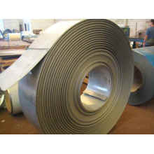 Stainless Steel Sheet Plate/Coil